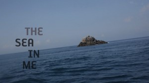 title on the black sea